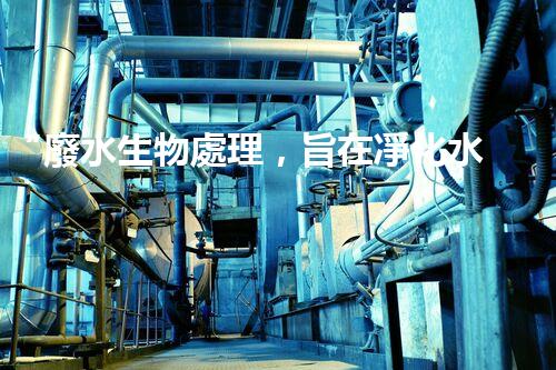 “廢水生物處理，旨在凈化水源，守護(hù)碧水藍(lán)天”
